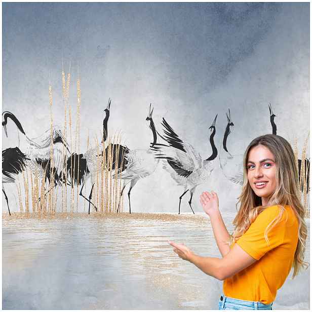 Fototapeta 3D Zvířata Ptáci Krajina Jeřábi 588x260 PTK07W