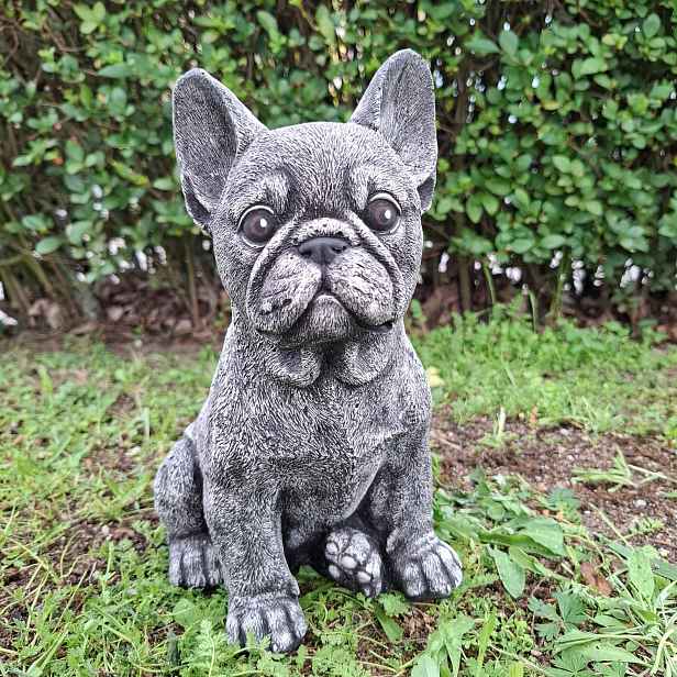 Figurka Pes Francouzský Buldoček figurky z betonu pejsek zahradní ozdoba