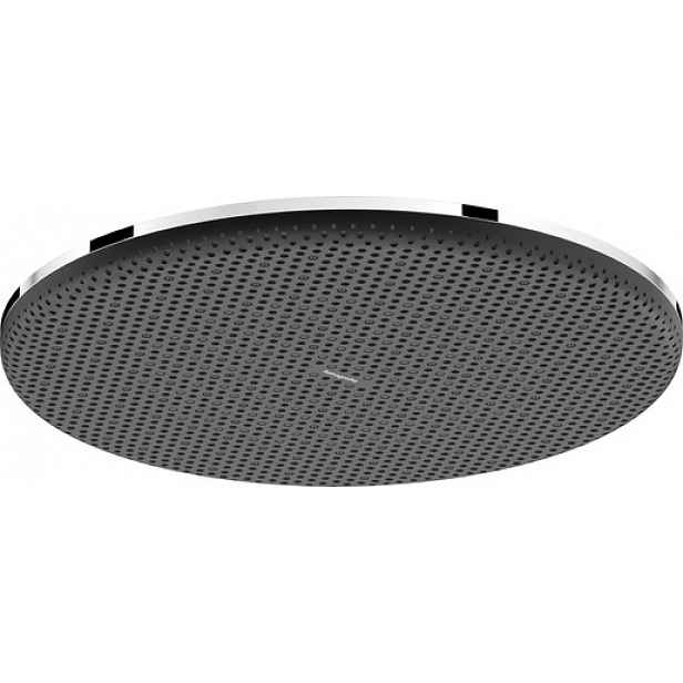 Hlavová sprcha Hansgrohe Raindance Alive S na strop nebo na stěnu chrom 24521000