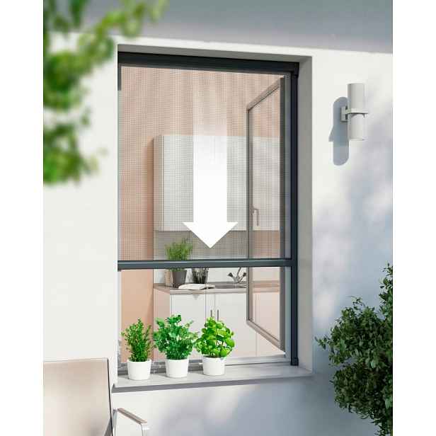 Moskytiéra rolovaná 160 x 160 cm Windhager na okno, síť proti komárům