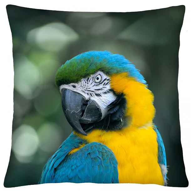 Povlak na polštář ANIMAL 66 PAPOUŠEK ARA Mybesthome 40x40 cm