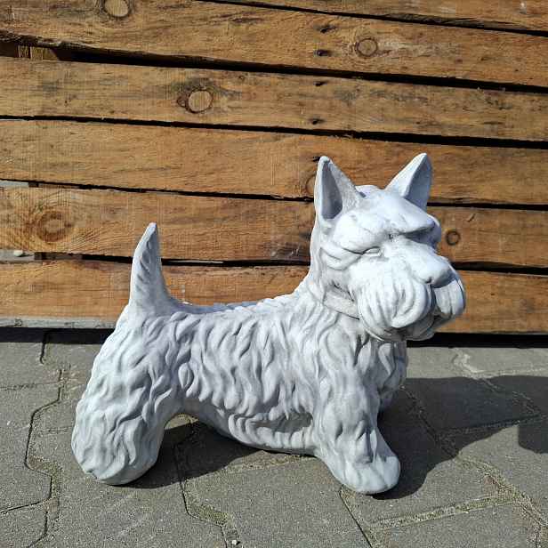 Betonová figurka Pes teriér Skotský pejsek dekorace do zahrady