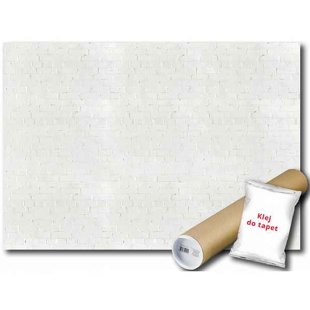 Fototapeta Bílá Cihla Mur 6F F4XL 416x290 F12581