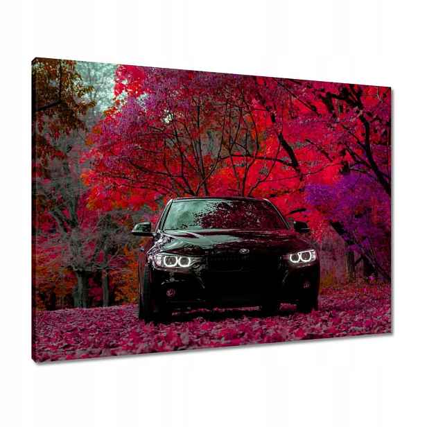 Černé obrazy 80x60 Bmw Podzim