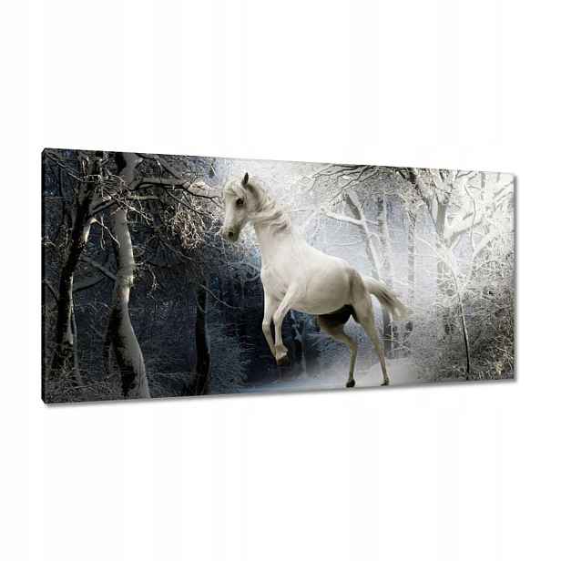 Obrazy 115x55 Bílý rumák
