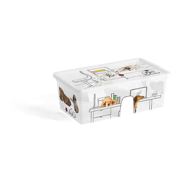 Bílý plastový úložný box s víkem 34x19x12 cm C Box Style – KIS