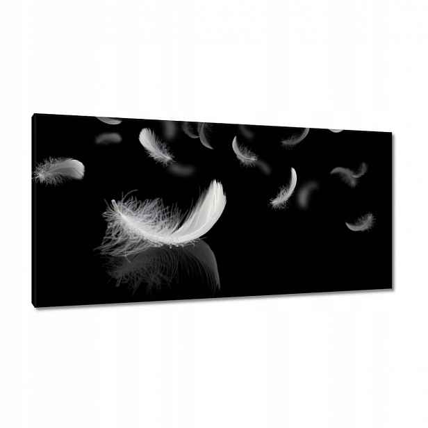 Obrazy 115x55 Padající bílé peří