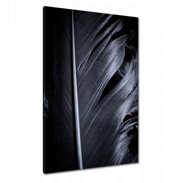 Obrazy 80x120 Černé pero v přiblížení