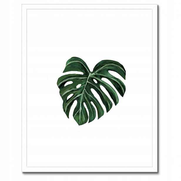 Plakáty v rámu 40x50 Monstera deliciosa List