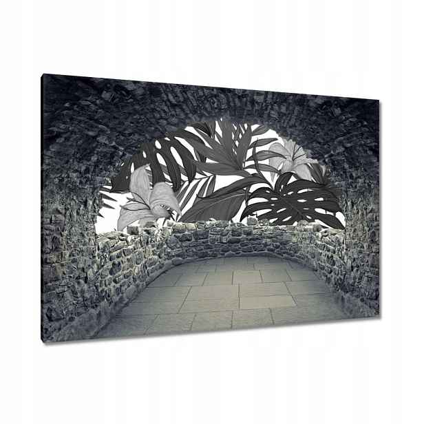 Obrazy 120x80 Černobílá monstera