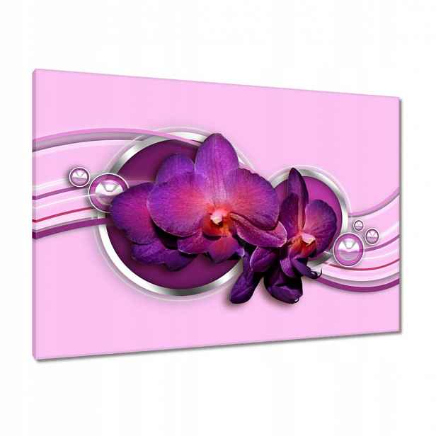 Obrazy 100x70 Fialový orchidej