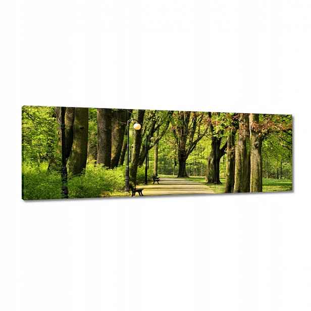 Obrazy 120x40 Park Citadela
