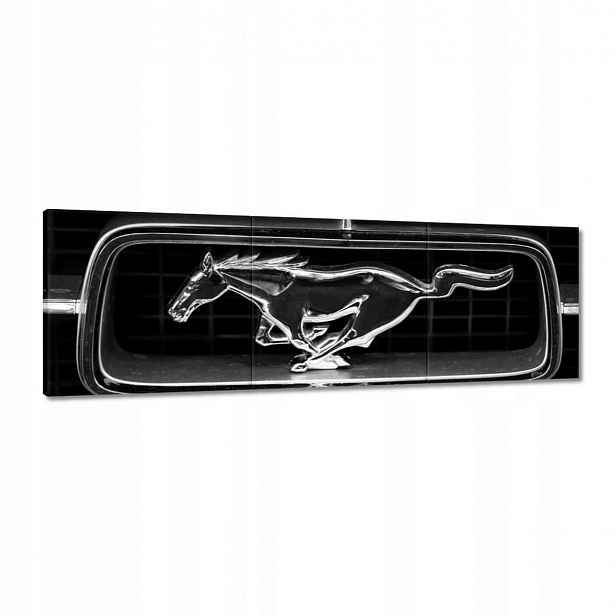 Obrazy 120x40 Ford Mustang – znak