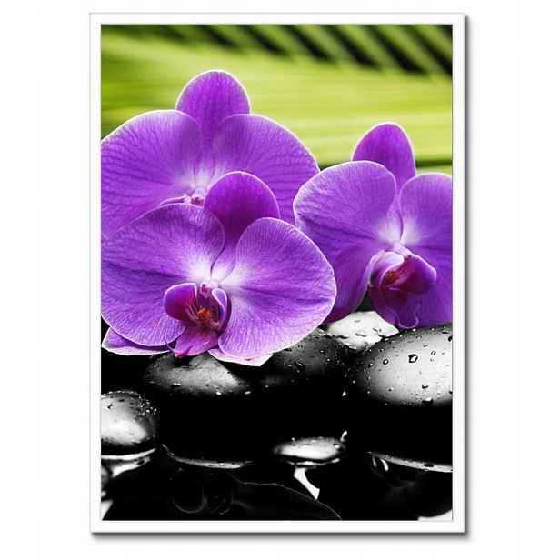 Plakáty v rámu 50x70 Fialové orchideje