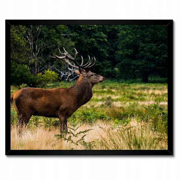 Plakáty v rámu 50x40 Obří jelen Krajina