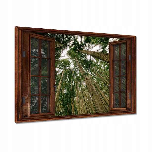 Obrazy 120x80 Stromy
