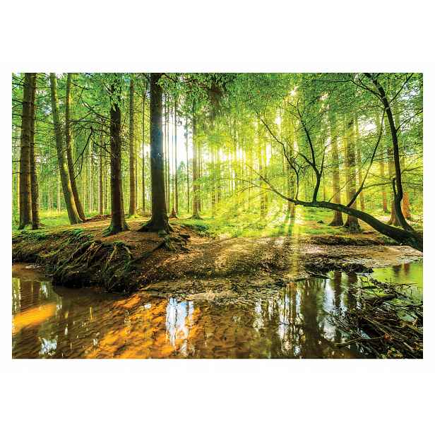 Fototapeta Les Slunce 3D Stromy Do Ložnice Obývacího Pokoje Tapeta Na Zeď 368x254