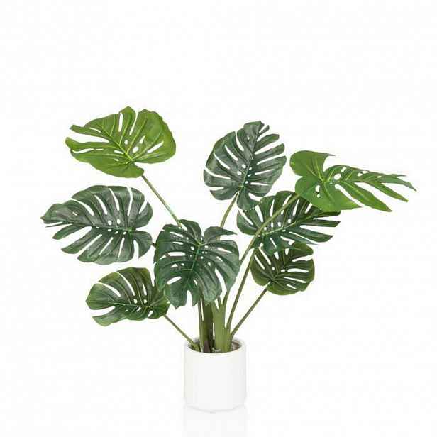 MID.YOU UMĚLÁ ROSTLINA monstera