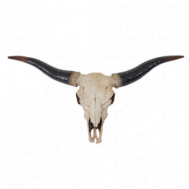 MCW DEKO LEBKA LONGHORN Béžová