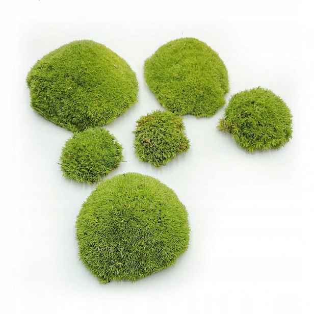 Ball Moss kopečkový mech světle zelená 200g Fr