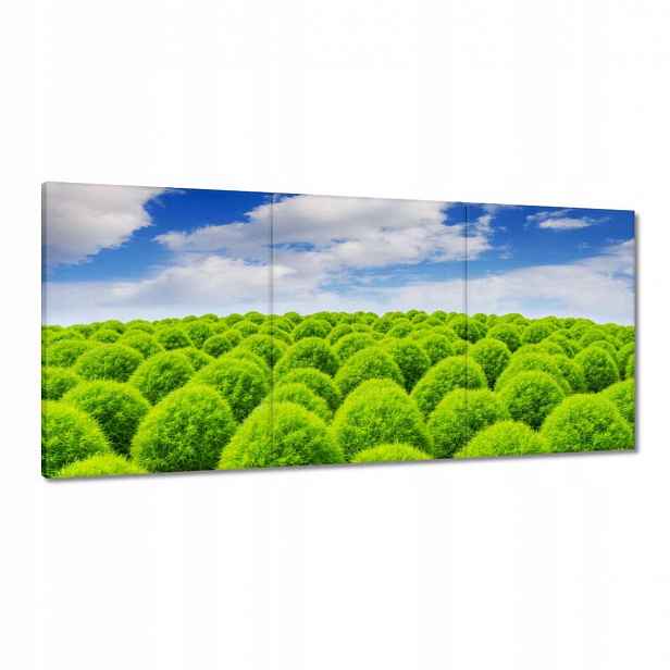 Obrazy 210x100 Zelený pohled Dolina