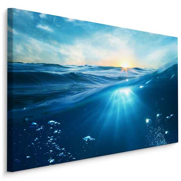 Plátno Podmořský Svět Varianta: 30x20