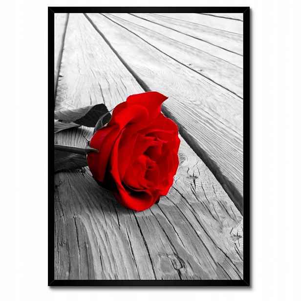 Plakáty v rámu 50x70 Červená růže na deskách