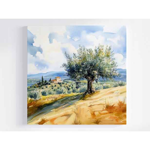 Obraz Na Plátně Canvas Krajina Itálie Toskánsko Dřevo Oliva Vila 50x50