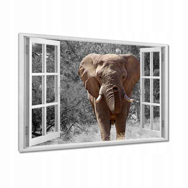 Obrazy 90x60 Velký slon