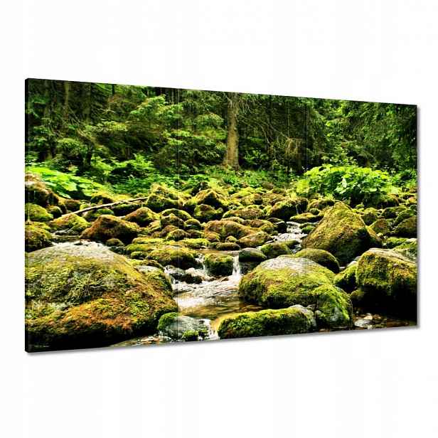 Obrazy 120x80 Tatry Polské hory Pohled