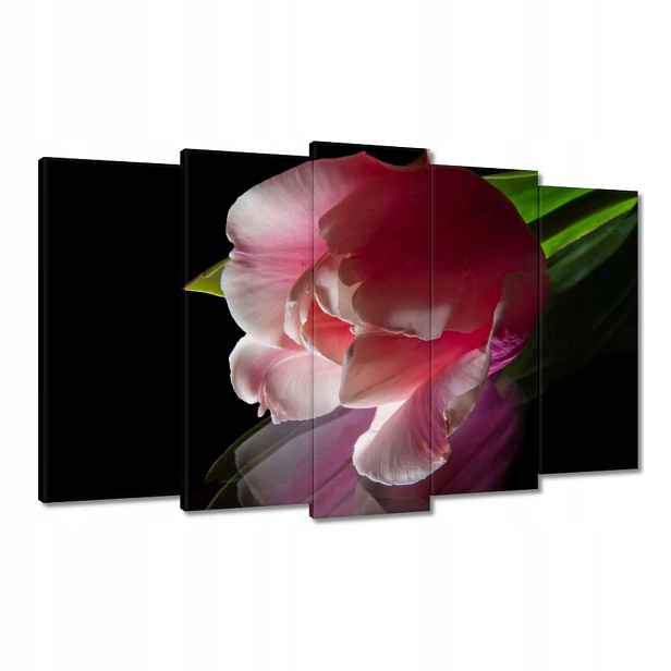 Obrazy 100x60 Růžový květ Tulipán