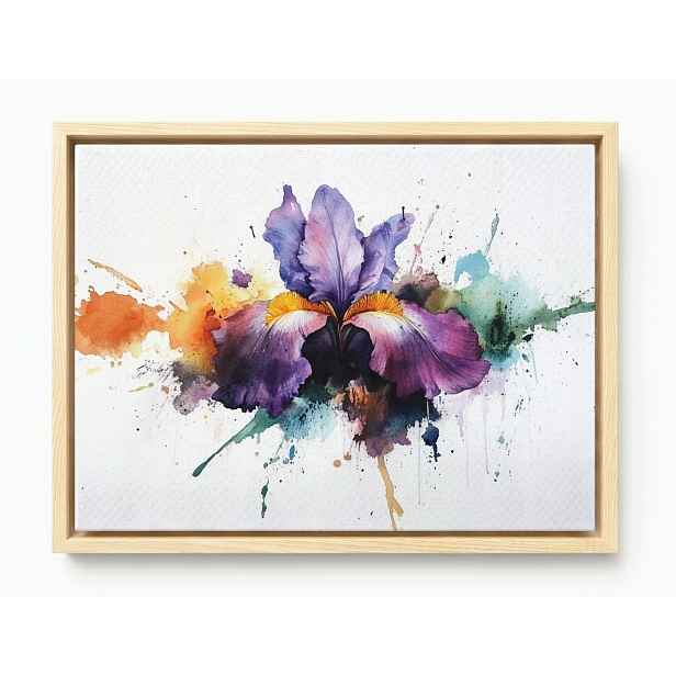 Obraz Rám Americký Box Akvarel Příroda Květ Fialový Irys Splash 80x60