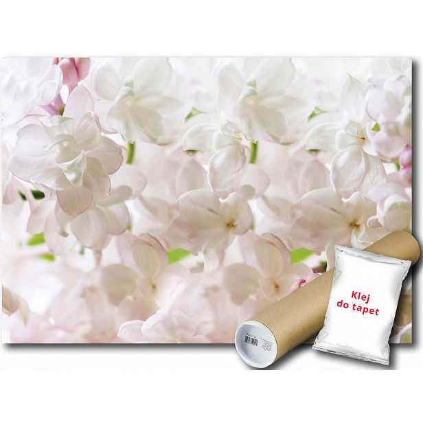 Fototapeta Bílé Květy 9E F4XL 416x290 F3598