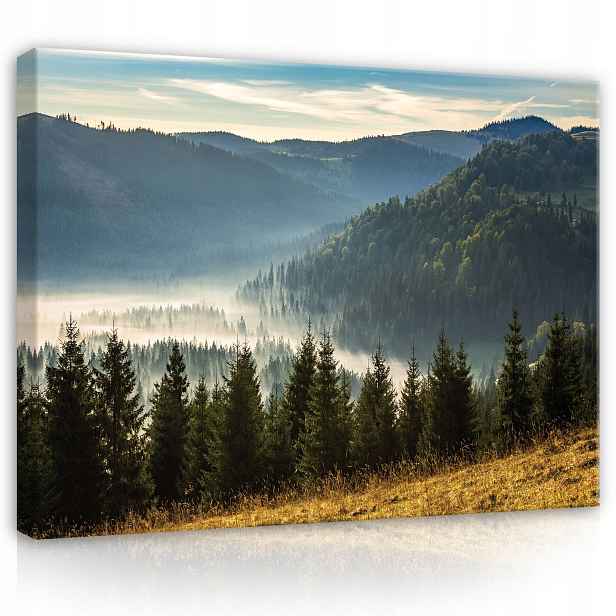 Obraz 100x75 Horská krajina mlha úsvit Karpaty příroda klid ticho