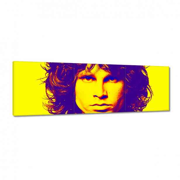Obrazy 120x40 Frontman z The Doors
