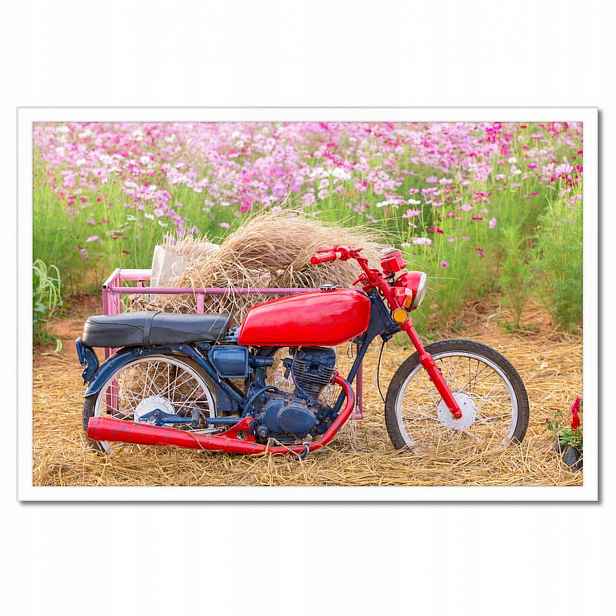 Plakáty v rámu 60x40 Červený motocykl Květiny