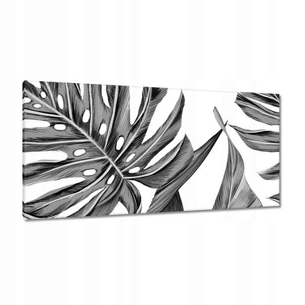 Obrazy 115x55 Monstera v šedé barvě