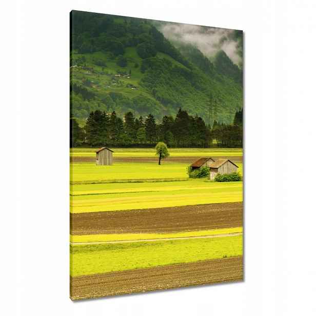 Obrazy 70x100 Zelené lány
