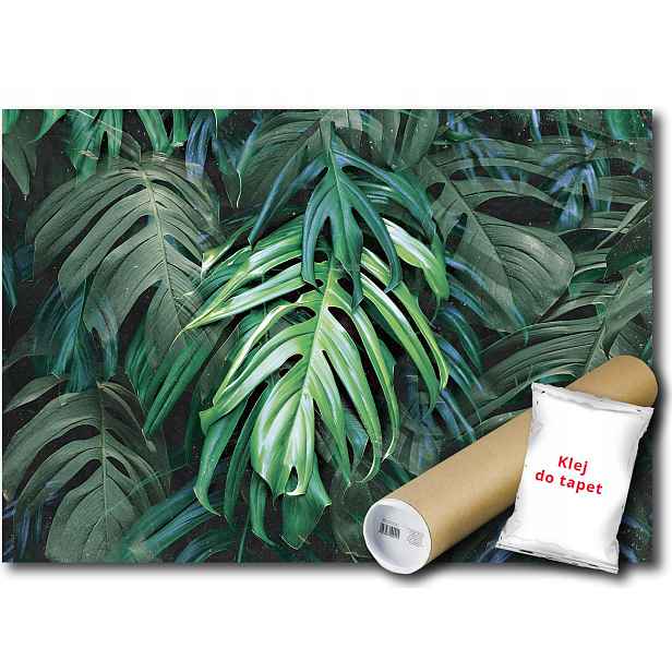 Vinylová Fototapeta Listy Monstera 152x104