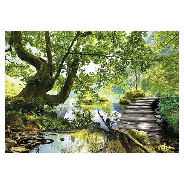 Fototapeta Strom 3D Les Jezero Krajina 254x184