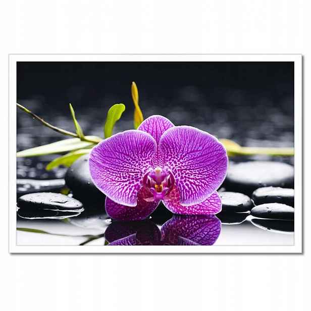 Plakáty v rámu 60x40 Fialová orchidej