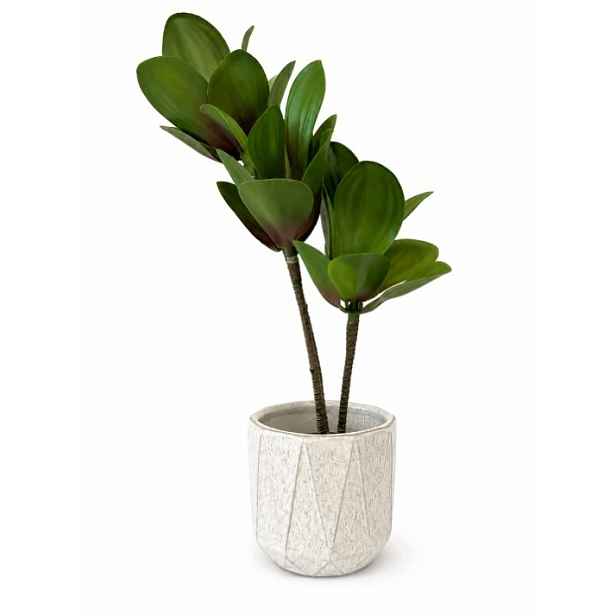 Umělý sukulent Kalanchoe Flapjack 55 cm