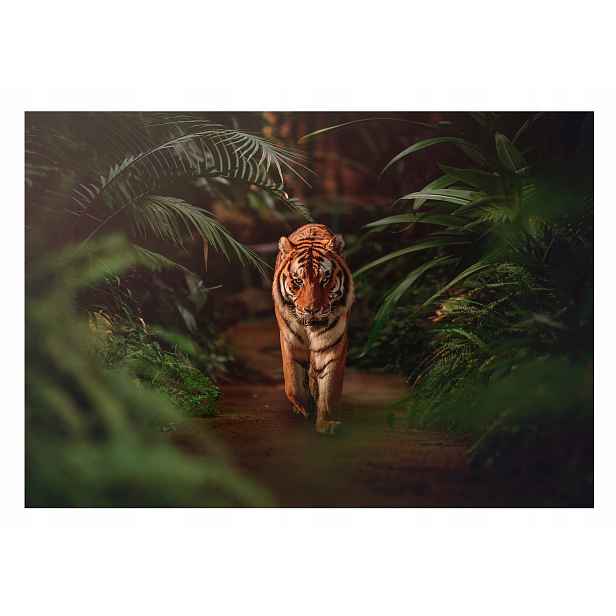 Fototapeta Tygr 3D Zvířata Džungle 254x184