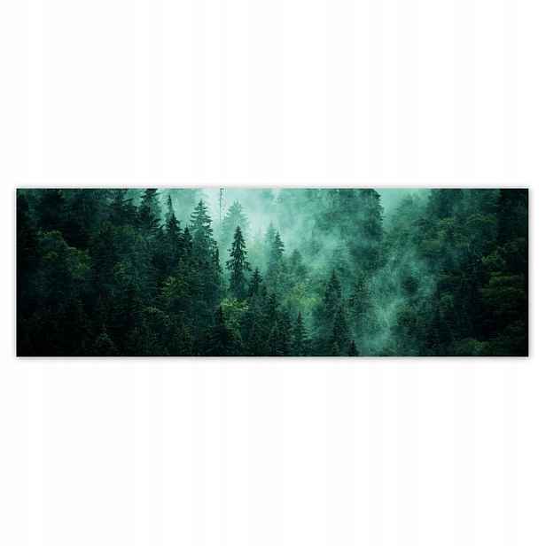 Fototapety 200x66 Les Mlha Krajina Cestování