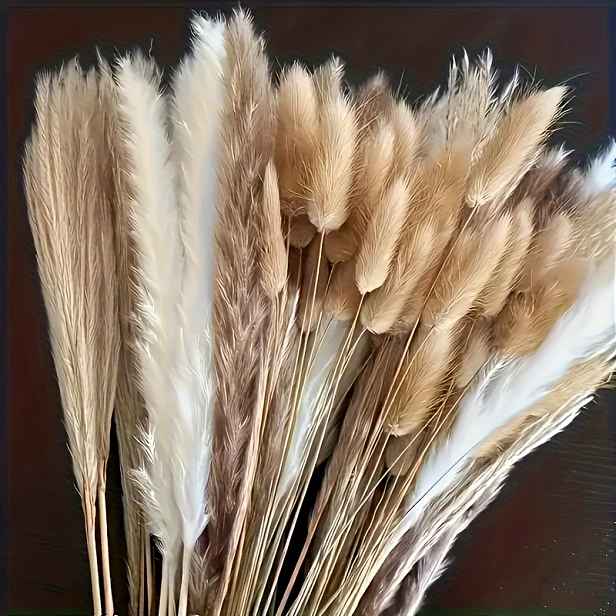 TEMU Kytice Sušených Květů z Trávy Pampas, 200 ks - Dekorace s Králičími Ocasem 17", Přírodní Nadýchané Sušené Květiny Pampasové Ostřiny pro Svatební