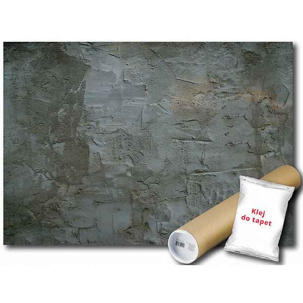 Fototapeta Šedá Omítka 6D F3XL 416x254 F2630