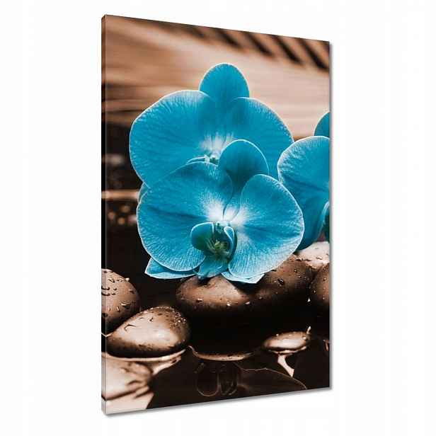 Obrazy 60x90 Tyrkysový orchidej