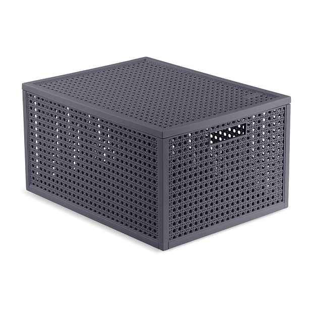 Tmavě šedý úložný box s víkem z recyklovaného plastu 30x38x21 cm Kaya – Curver