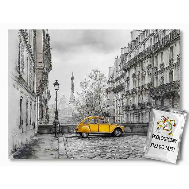 Fototapeta Flizelina Město Francie Paříž Ulička Auto 312x219 130g