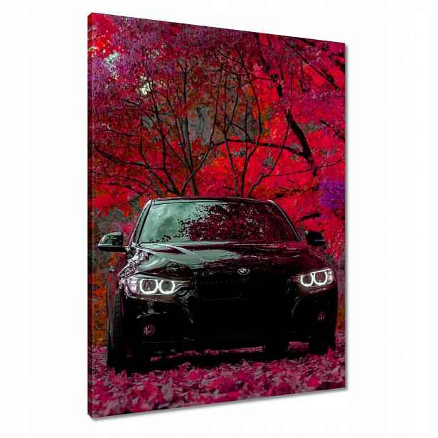 Černé obrazy 60x80 Bmw Podzim